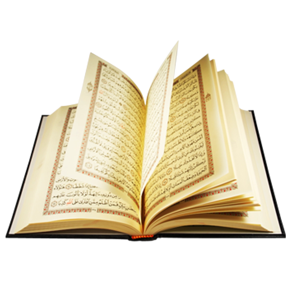 Qur’an Teacher